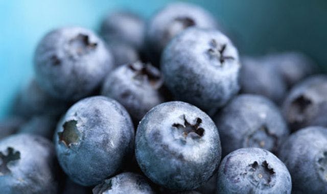 New study finds blueberry extract could reduce antibiotic use in treating gum disease