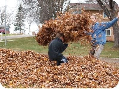 People playing in a pile of leaves