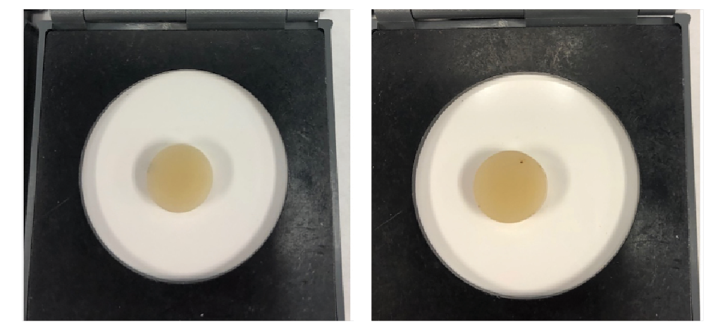 Figure 1. Paradigm MZ100 disk before and after 12 months of clinical staining.