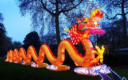 Dragon at Philadelphia Chinese Lantern Festival