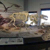 On National Fossil Day, Celebrate Woolly Mammoths in South Dakota and Saber-Toothed Cats in California