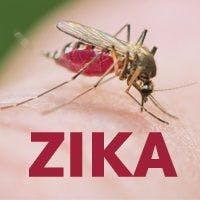 Zika, mosqito, travel