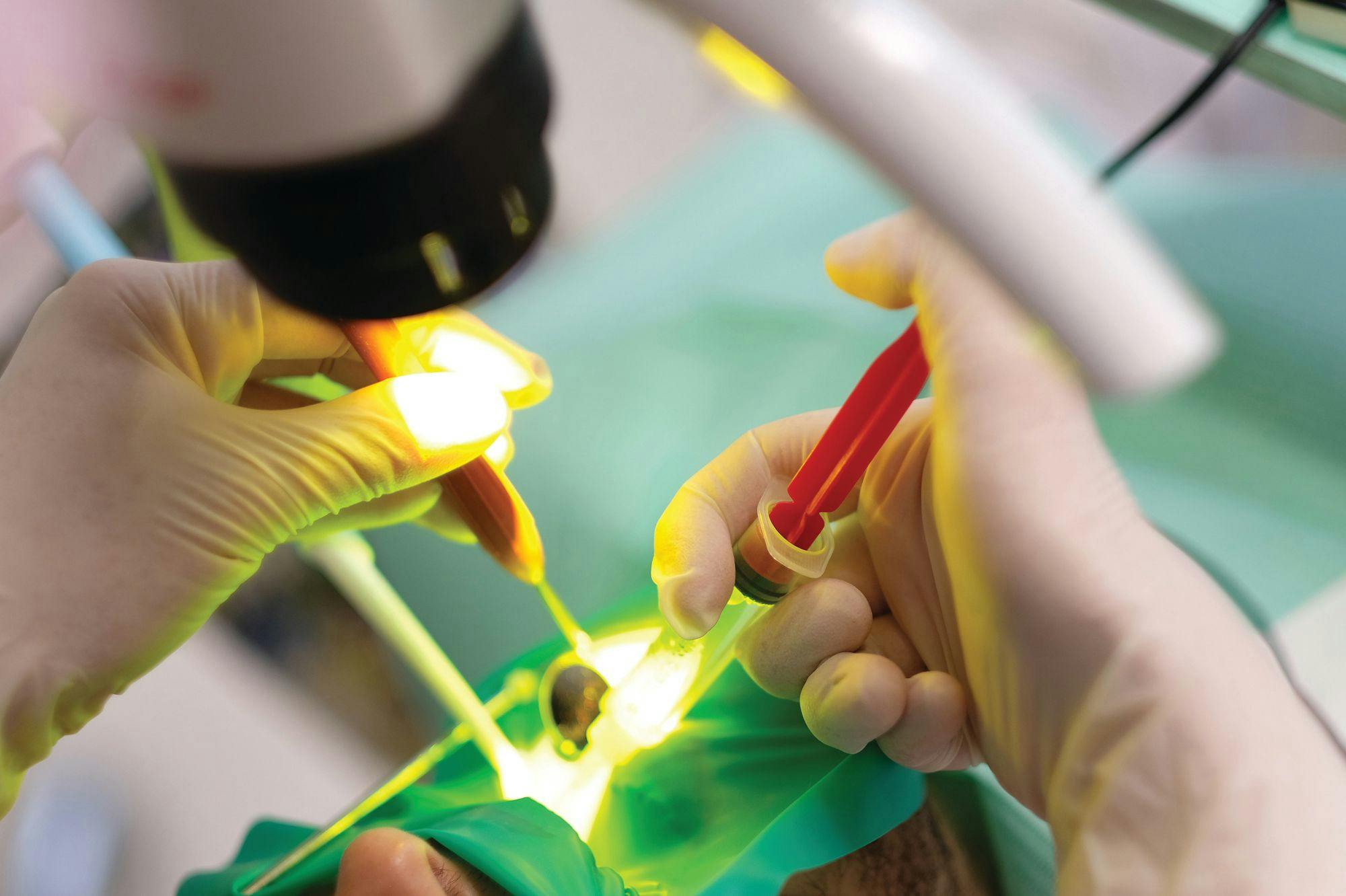Making Things Easier With Endodontic Accessories. Image: © Anna Jurkovska - stock.adobe.com