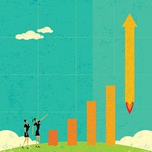 Increasing Profitability: Your Practice, By The Numbers
