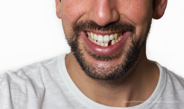 Will humans one day be able to regrow teeth?