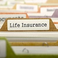 Just Starting Out: Introduction to Life Insurance 