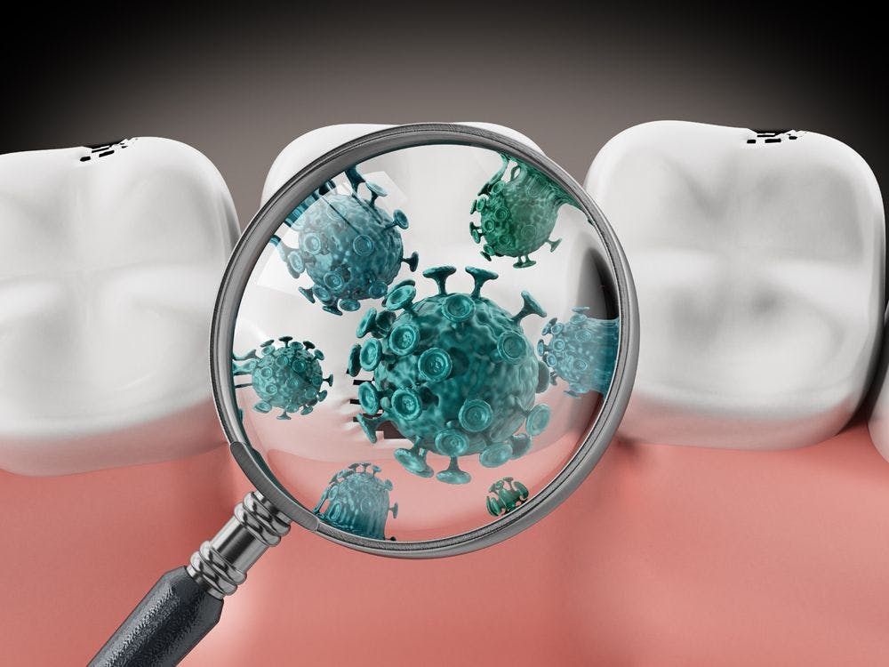 Study Shows Oral Bacteria Suppression Protects Against Viral Growth. Photo courtesy of destina/stock.adobe.com. 