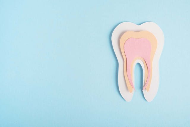  Study Reveals Link Between Autoimmune Disorders and Tooth Enamel Formation Defects. Image credit: © Elena - stock.adobe.com