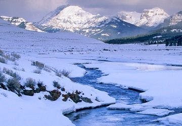 Winter scenery | 	Image Source: National Park Service