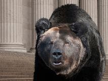 4 tips for dentists to avoid panicking during the next bear market