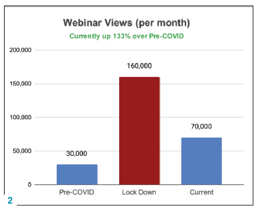 Similar increases took place in the number of webinar views (Figure 2) and page views (Figure 3), and those numbers still reflect big jumps.
