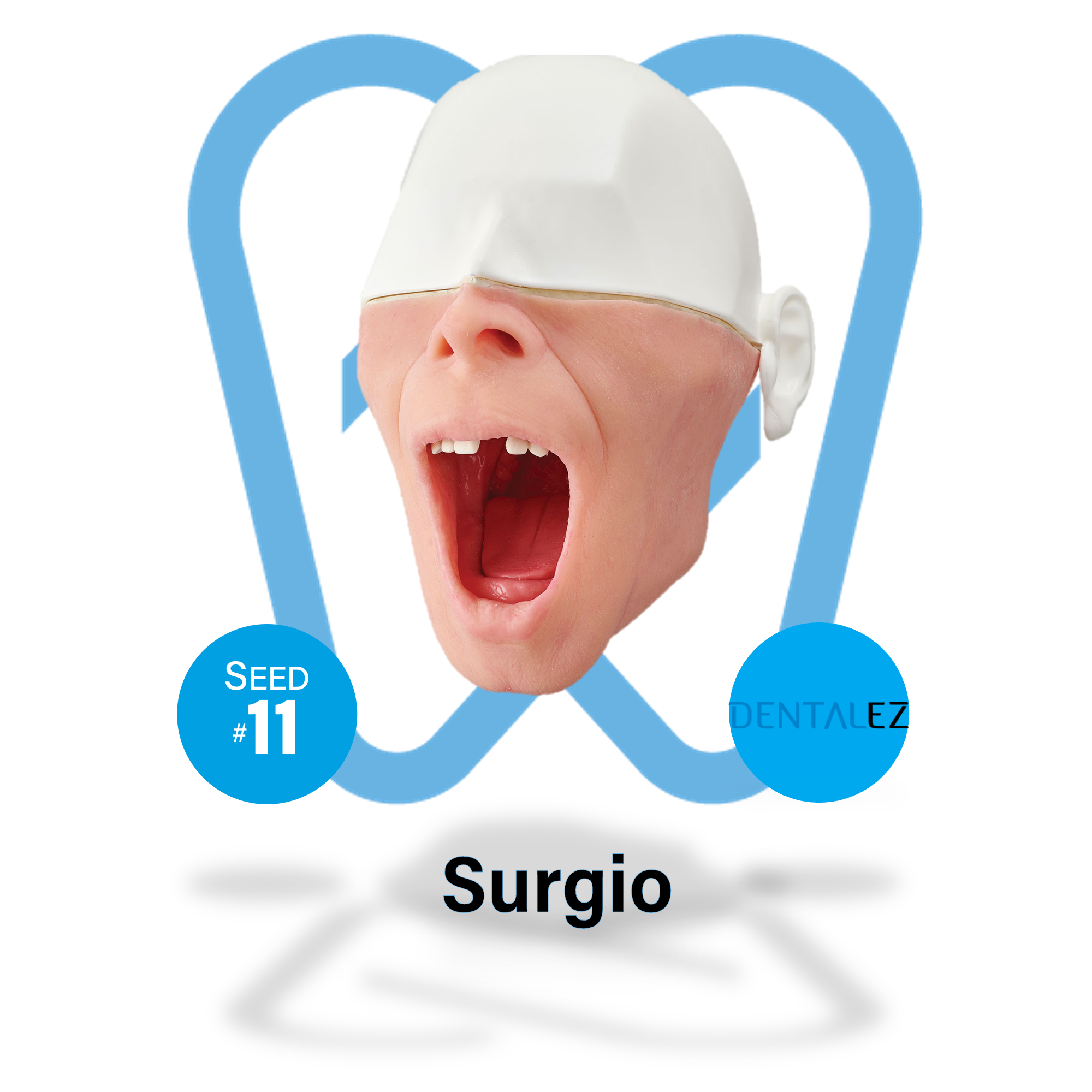 Surgio dental training dummy
